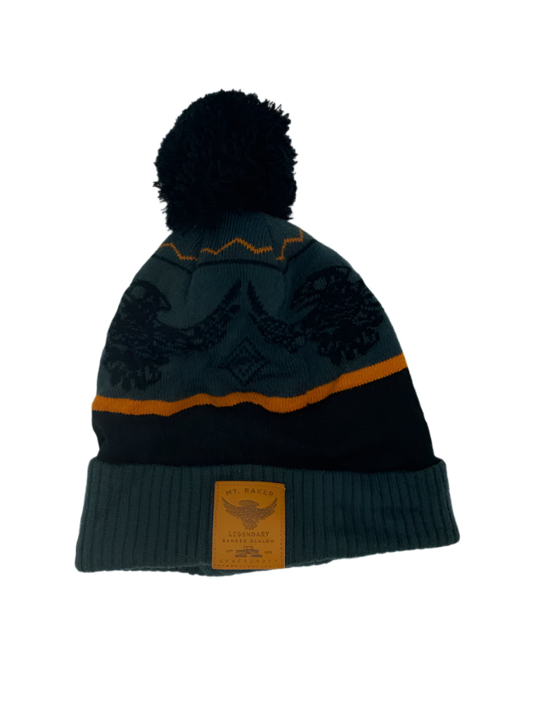 Spacecraft Pom Beanie